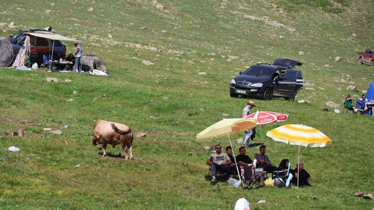 Salikvan'da yayla şöleni: 3 bin rakımda boğa güreşleri ve dev horon