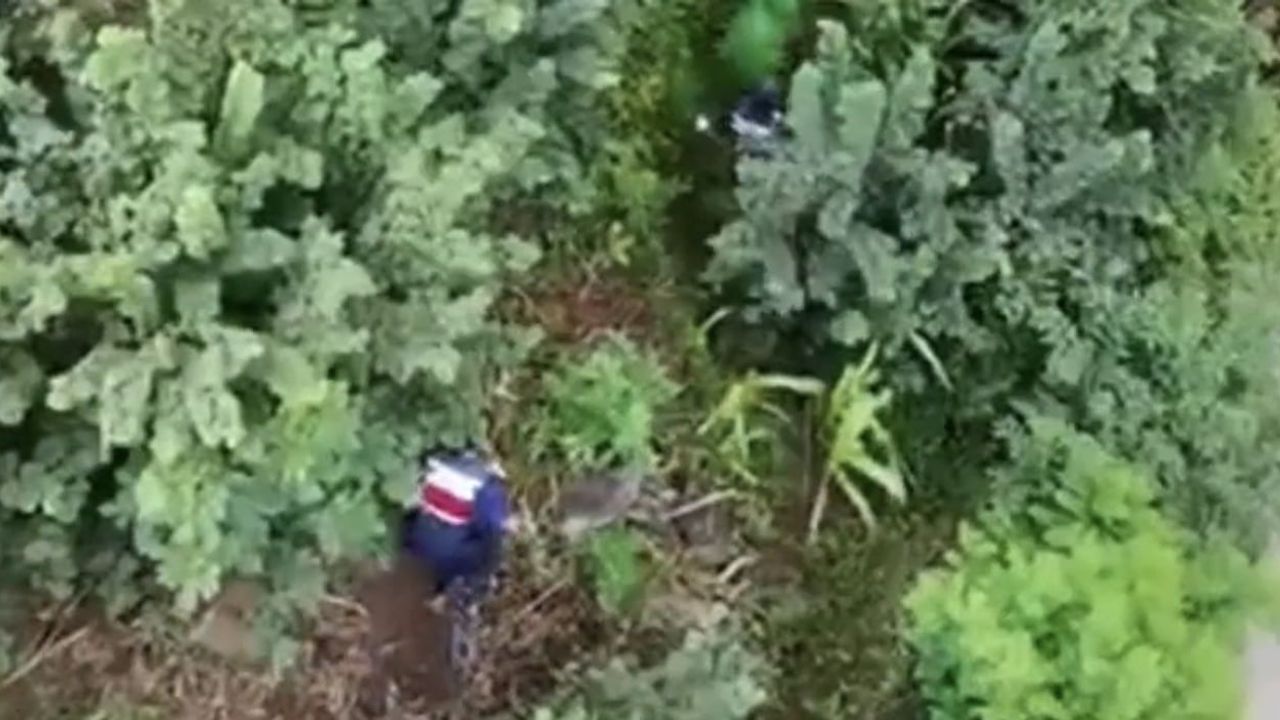 Salıpazarı'nda jandarmadan uyuşturucu ve silah operasyonu