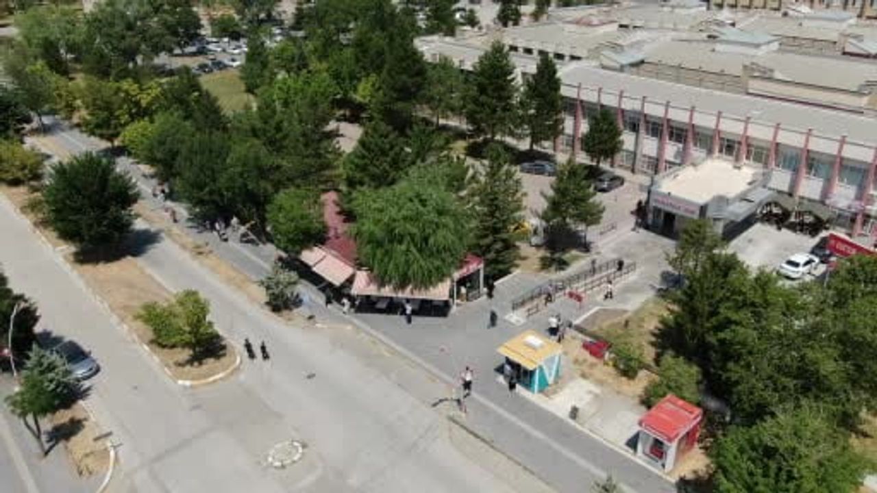 Salkım söğüt, kafenin ortasından yükselerek işletmenin simgesi oldu