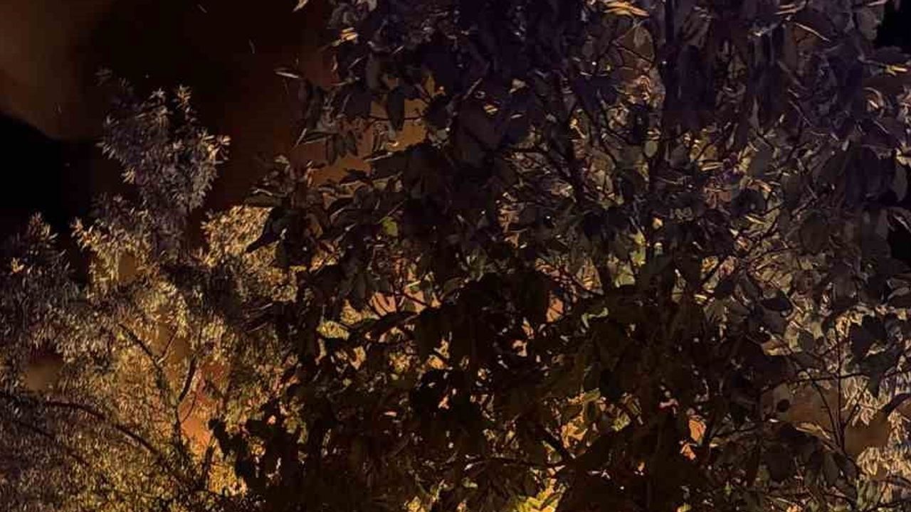 Samanlıktan sıçrayan yangın bitişikteki evi sardı