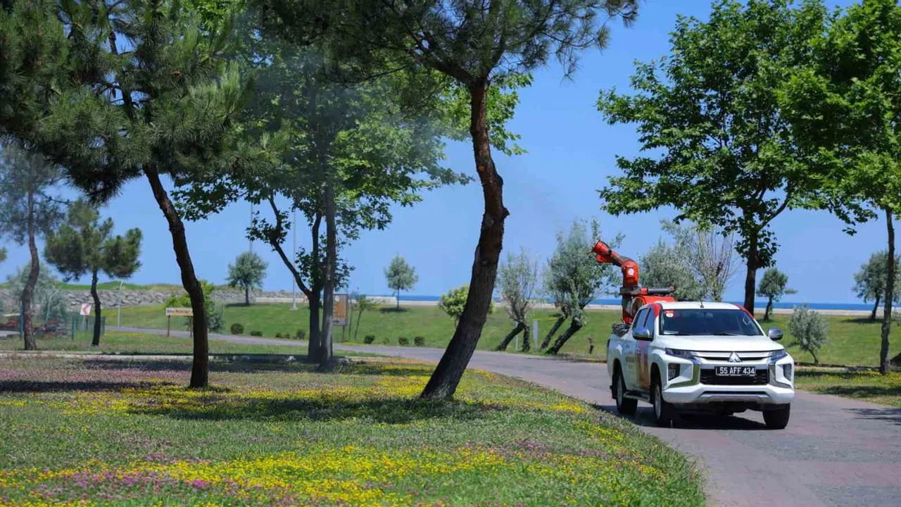Samsun'da biyolojik ağırlıklı mücadeleyle sivrisineklere karşı seferberlik