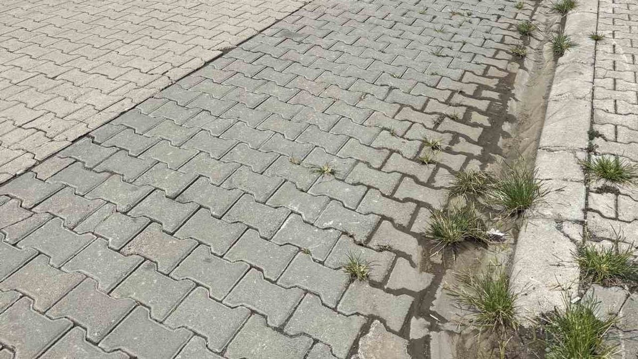 Samsun'da yalnız yaşamının izleri: 70 yaşındaki Hüseyin Çapkın evinde ölü bulundu