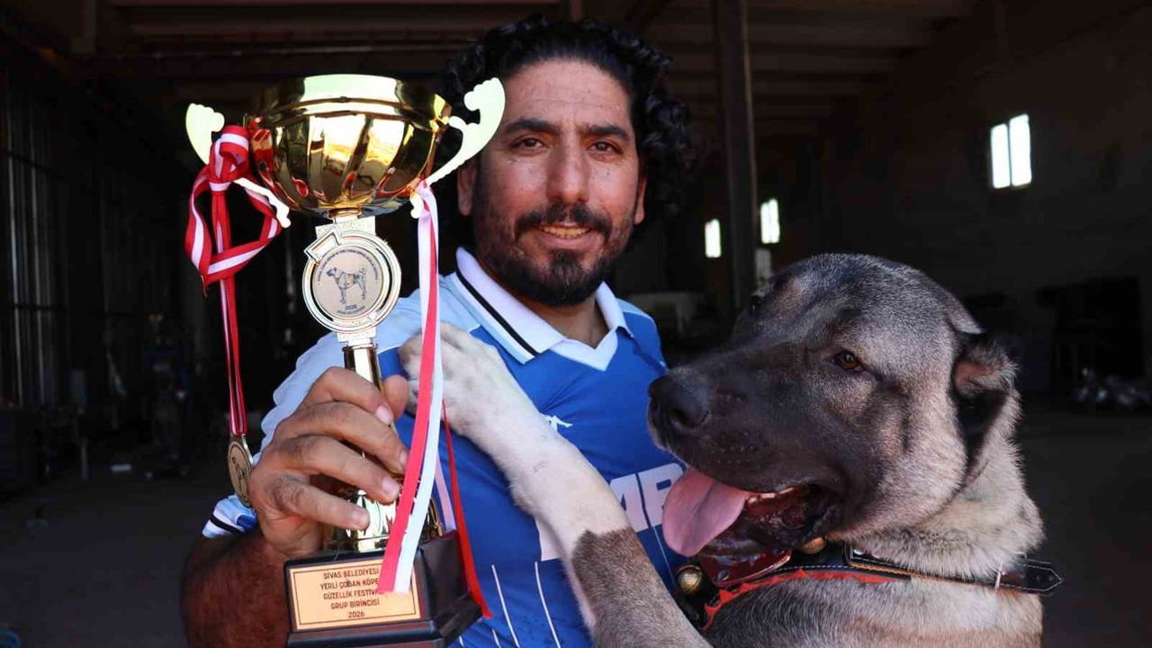 Sanayiden podyuma: Bozok kangal yarışmasında birinci oldu