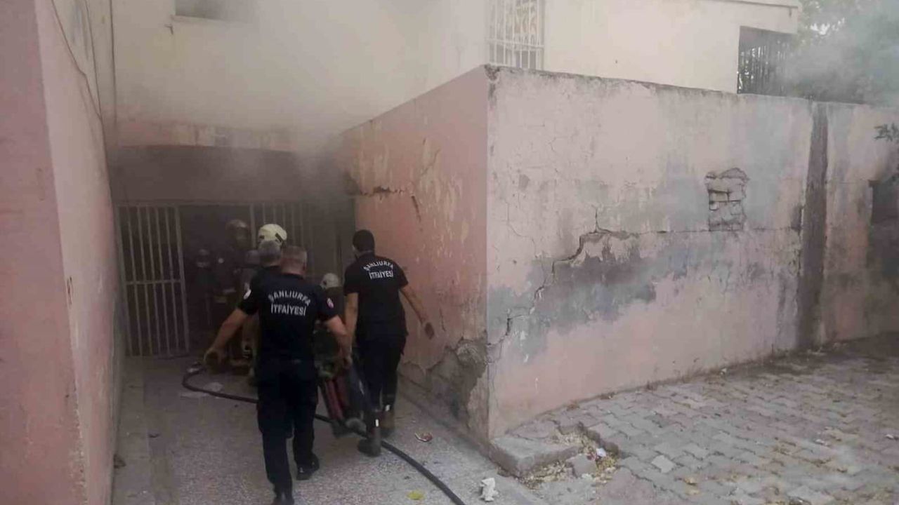 Şanlıurfa'da bodrum yangınında itfaiye alevleri söndürdü, iki yavru kediyi kurtardı