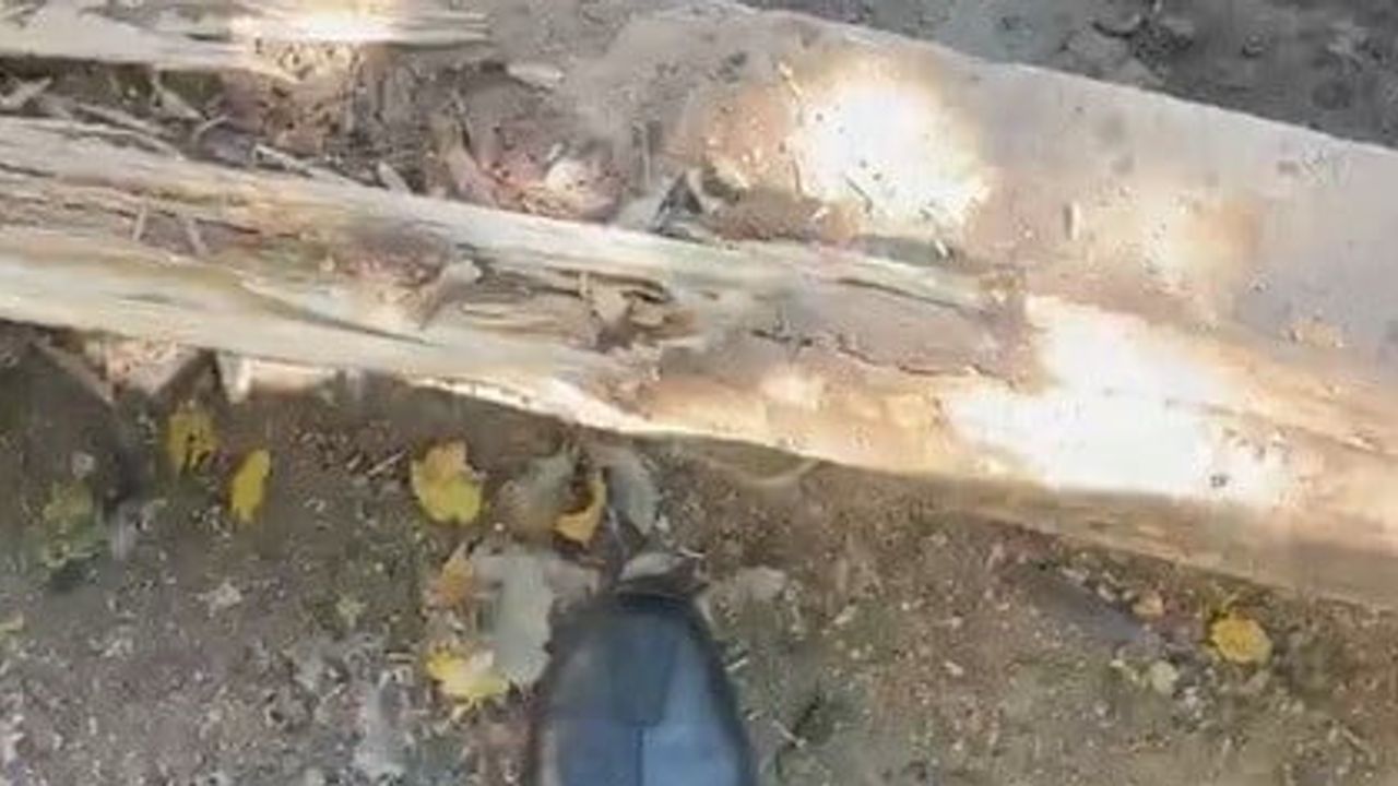 Şanlıurfa'da üzeri tahtalarla örtülü kuyudan düşen genç itfaiye tarafından kurtarıldı