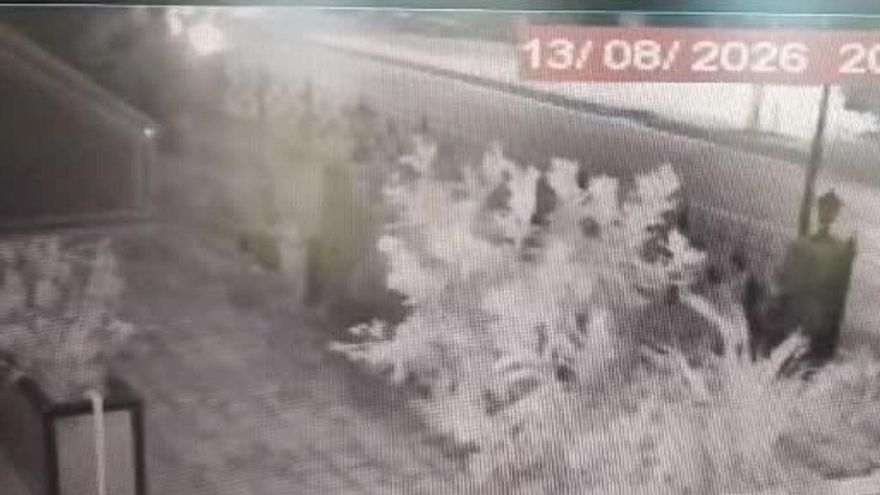Şapkalı hırsızın örümcek adam yöntemi Bursa'da son buldu