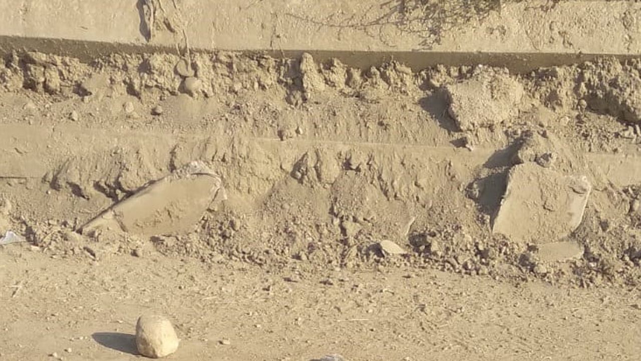 Sarayköy'de iplerle gizlenmiş yemler sonrası hayvan ölümleri iddiası