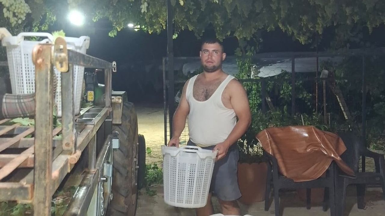 Sarıgöl'de gece mesaisiyle sofralık üzüm pazara zamanında ulaşıyor