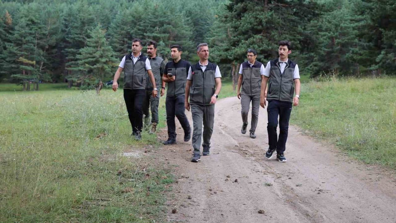 Sarıkamış'ta ormancılık çalışmalarına saha denetimiyle yön verildi