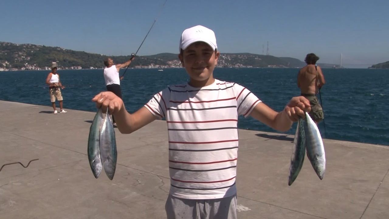 Sarıyer kıyısında oltalar palamutla şenlendi