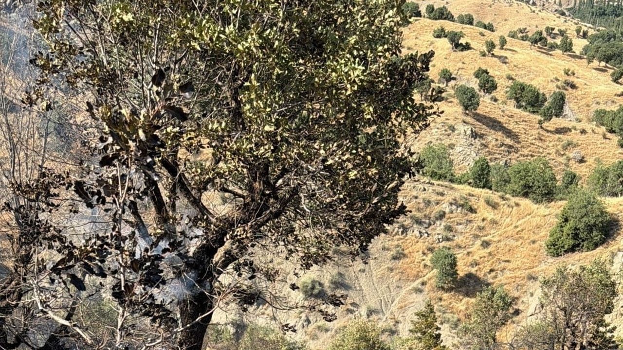 Sason'da orman yangını yerleşim yerlerine ulaşmadan söndürüldü