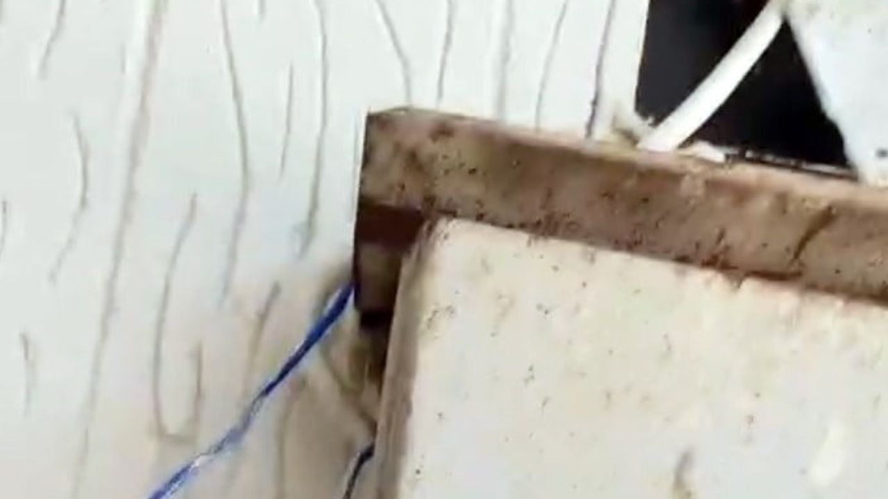 Sayaca müdahale eden kadın denetimi sekteye uğrattı