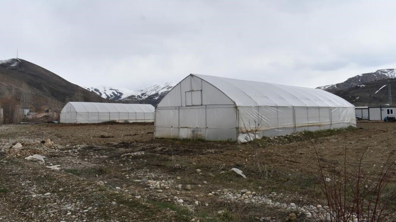 Seralara can suyu: Erzincan'da sera örtüsü yenileme destek başvuruları uzatıldı