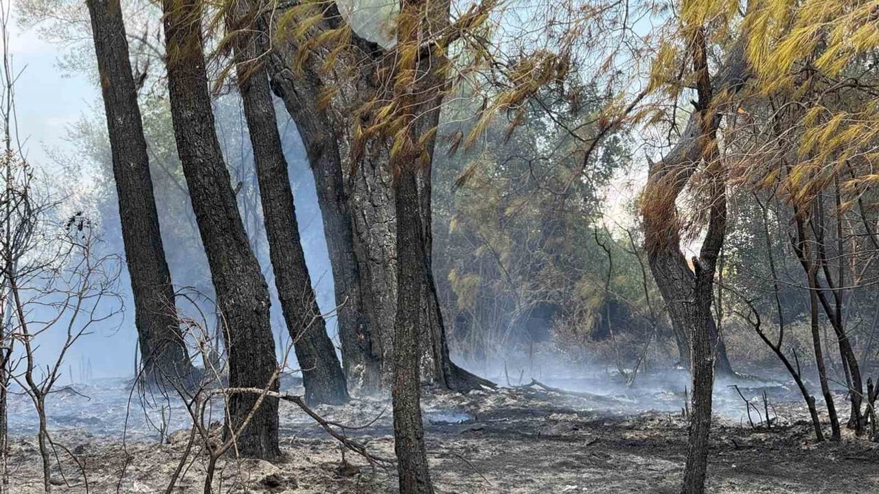 Seydikemer'de alevler durduruldu: hava ve karadan kapsamlı müdahale