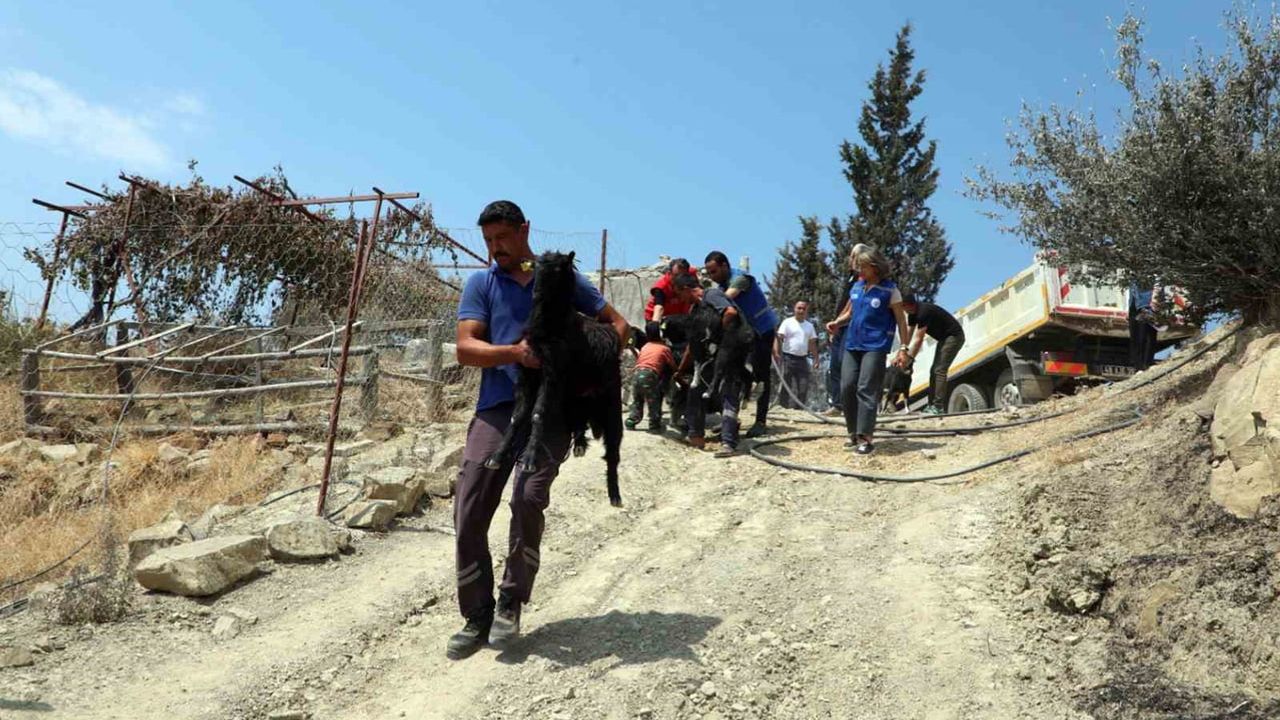 Seydikemer'de üretim için hızlı toparlanma: belediye destekleri üreticinin yanında