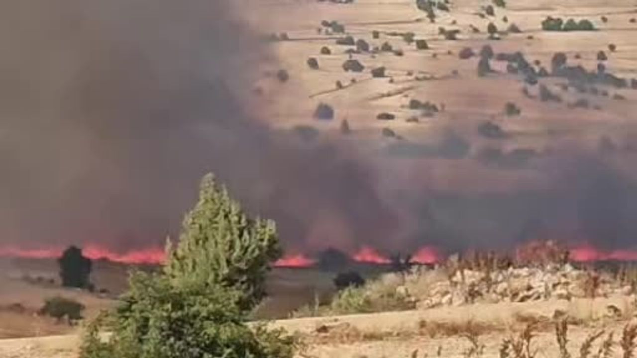 Seyitgazi'de rüzgârın etkisiyle tarım arazisinde yangın