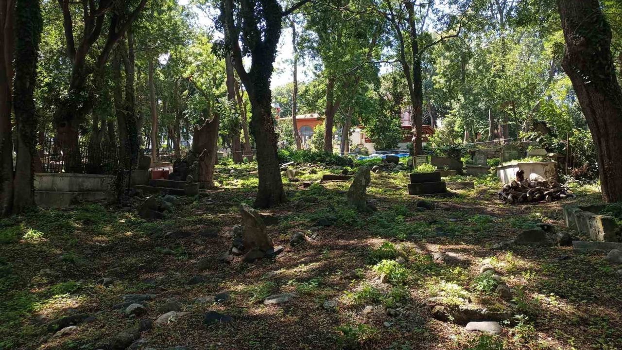 Seyyid Kutbiddin mezarlığı'ndaki taşlar tarihe ışık tutacak