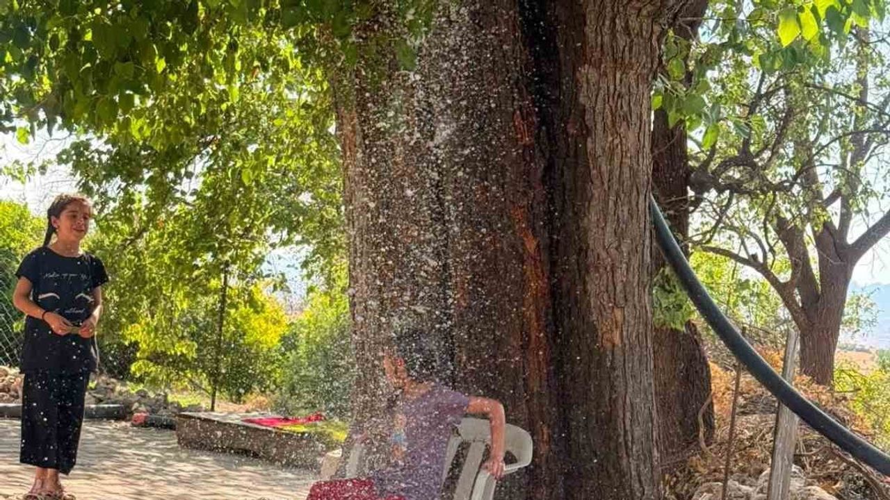 Sıcaktan bunalan vatandaş ağaçtan sarkıttığı hortumla serinledi