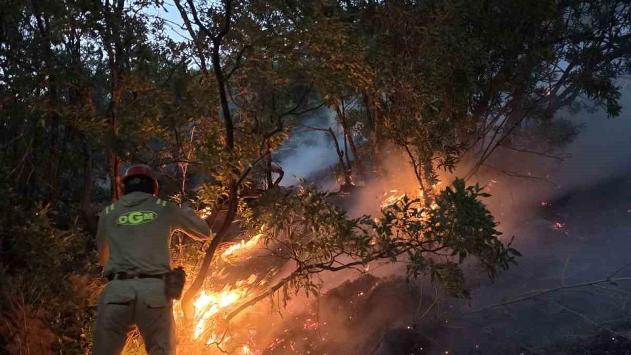 Siirt’te gün boyu alevlerle mücadele: dört yangın kontrol altına alındı, Çamtaşı'nda çalışmalar sürüyor