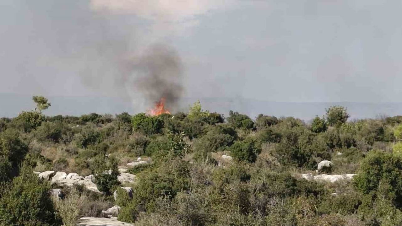 Silifke'de makilik yangını havadan ve karadan müdahale ile kontrol altına alındı