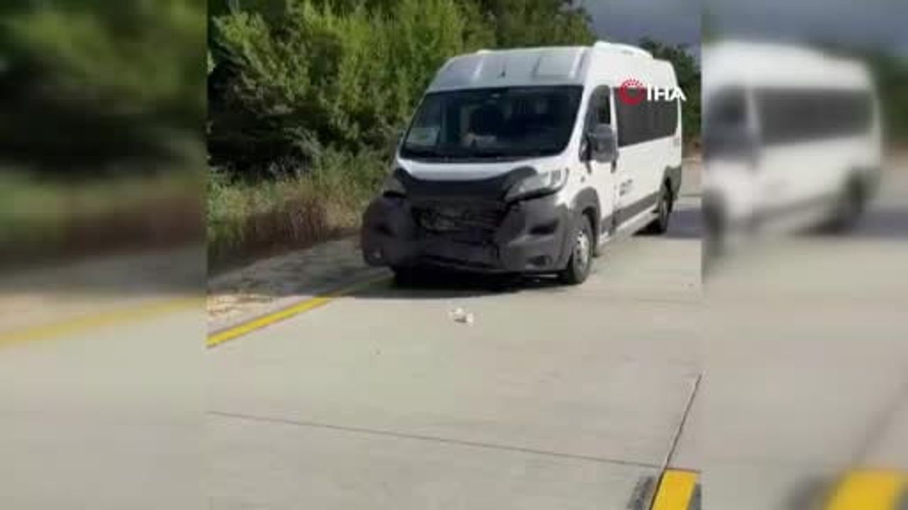 Silivri Danamandıra yolunda panelvanın çarpması sonucu yaban domuzu telef oldu