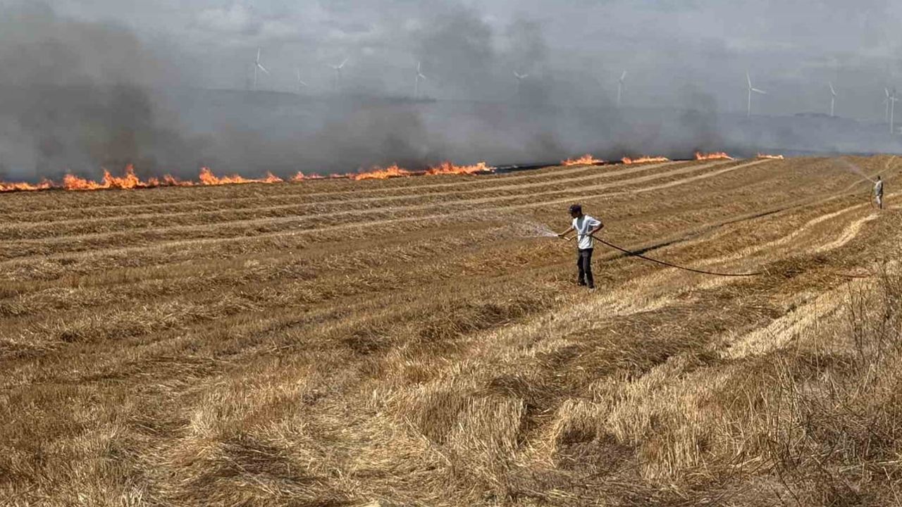 Silivri'de rüzgarla yayılan anız yangını kontrol altına alındı