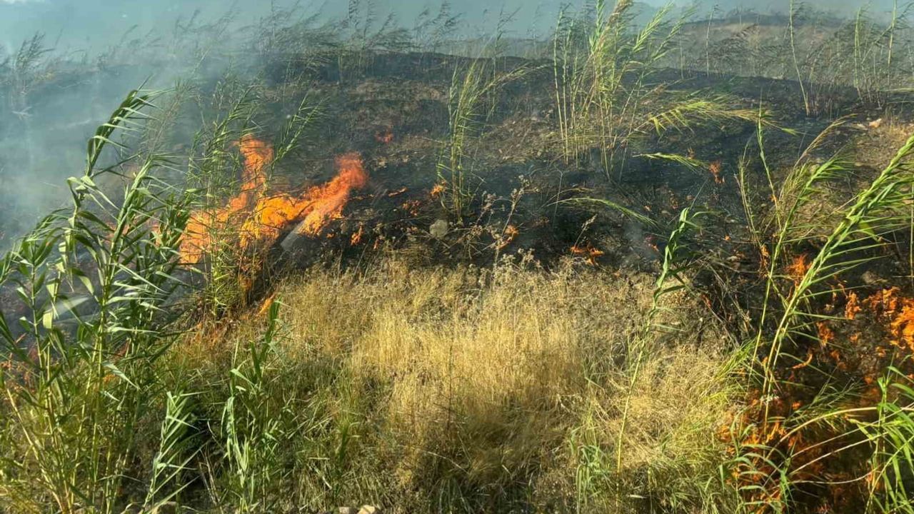 Silopi'nin kırsalında çıkan yangın ekiplerin müdahalesiyle söndürüldü