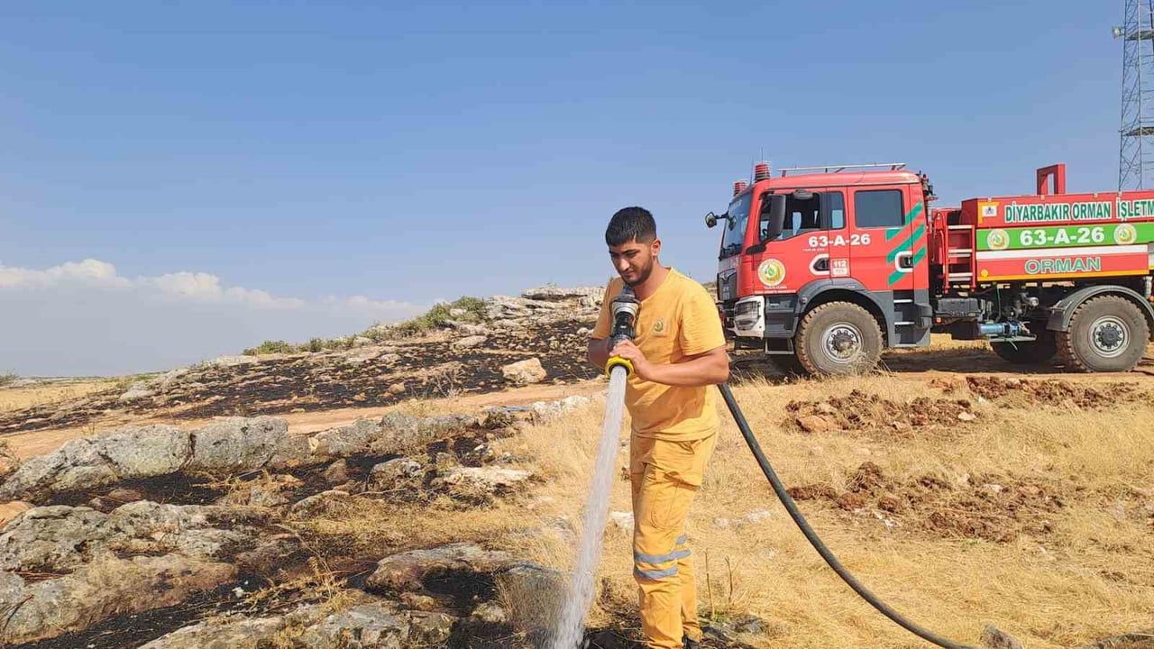 Silvan'da rüzgârın etkisiyle yayılan örtü yangını yaklaşık 400 dönümü yaktı