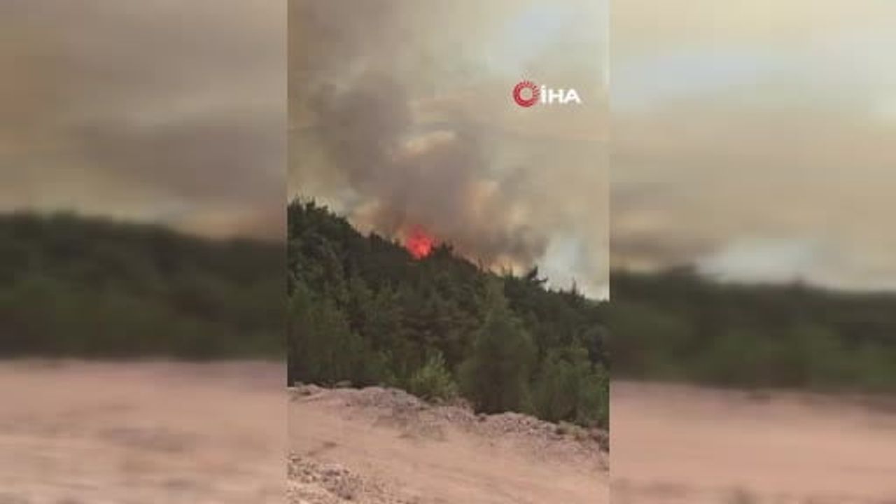 Sındırgı'da süt kamyonu yangını ormana sıçradı, Simav sınırına ilerliyor