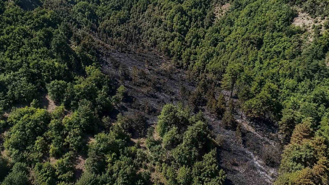 Sinop'ta kara yolunu tehdit eden orman yangını kontrol altına alındı