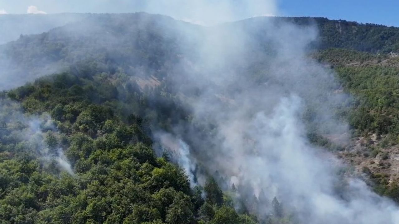 Sinop'ta rüzgarla yayılan Derecuma Camii mevkisindeki orman yangını