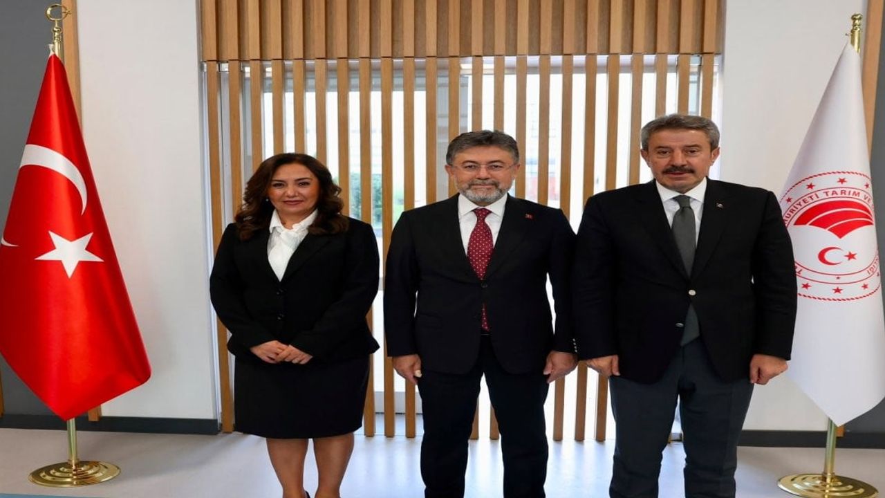 Şırnak’ta üretim ve altyapıya eş zamanlı yatırım hamlesi