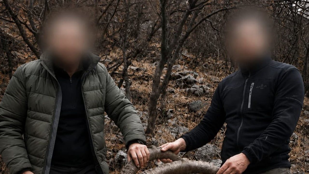 Şirvan'da altı yıllık olay: koruma altındaki beş yaban keçisinin yasa dışı avı tespit edildi