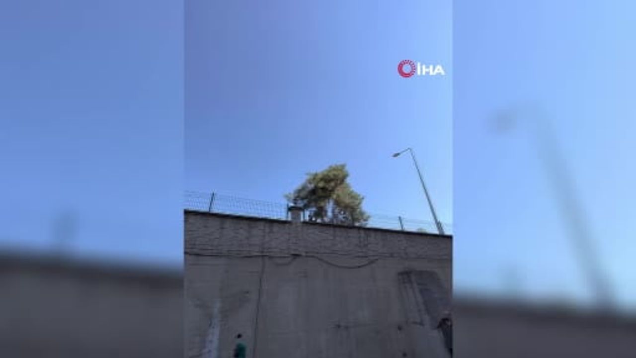 Siteyi karton yığınına çeviren aileyle mahalle halkı arasında gerilim