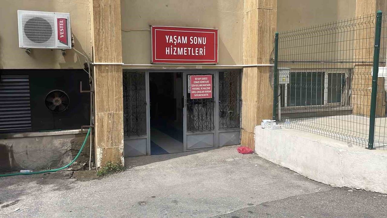 Sivas'ta kene kaynaklı Kırım Kongo Kanamalı Ateşi vakası can aldı
