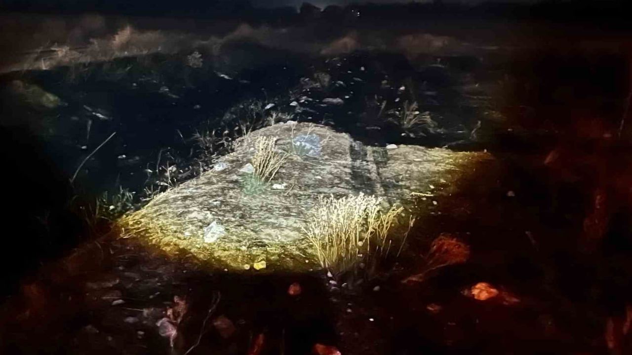 Sivrihisar'da elektrik tellerine çarpan kuş yangını mahalle el birliğiyle söndürdü