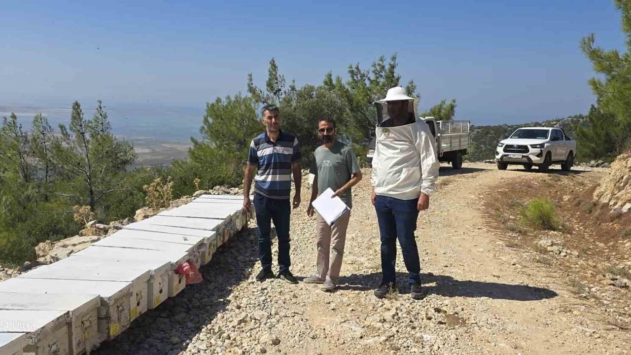 Söke'de arıcılığı güçlendirme hedefiyle kovan kayıt çalışmaları sürüyor