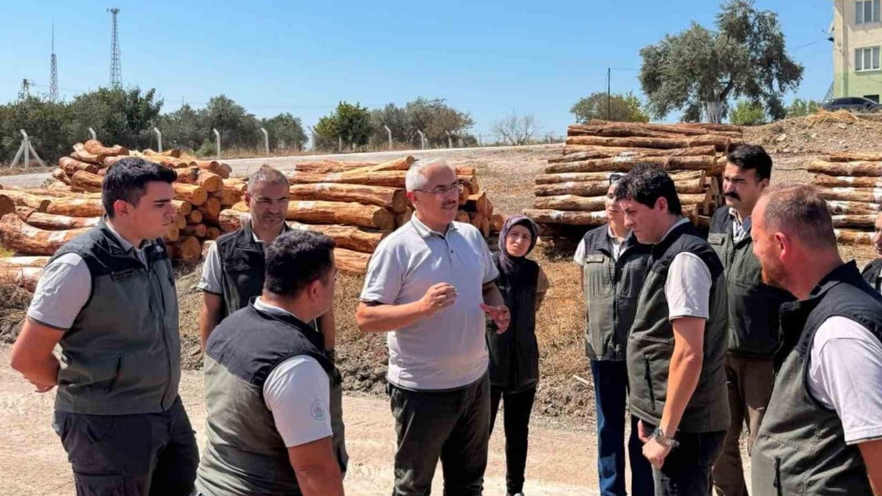 Soma ormanlarında biyokütle azaltımıyla yangın riskine karşı seferberlik