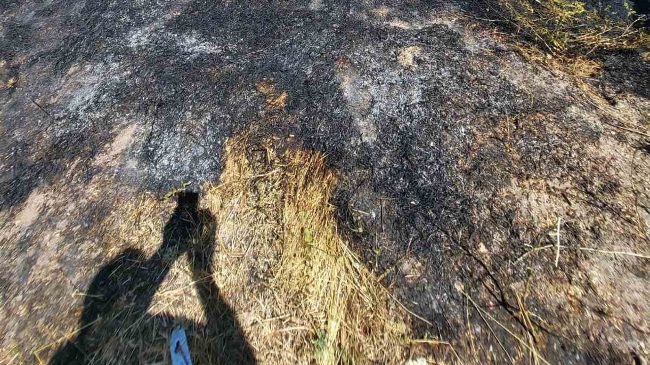 Sorgun'da Belencumafakılı köyünde ot yangını kısa sürede söndürüldü