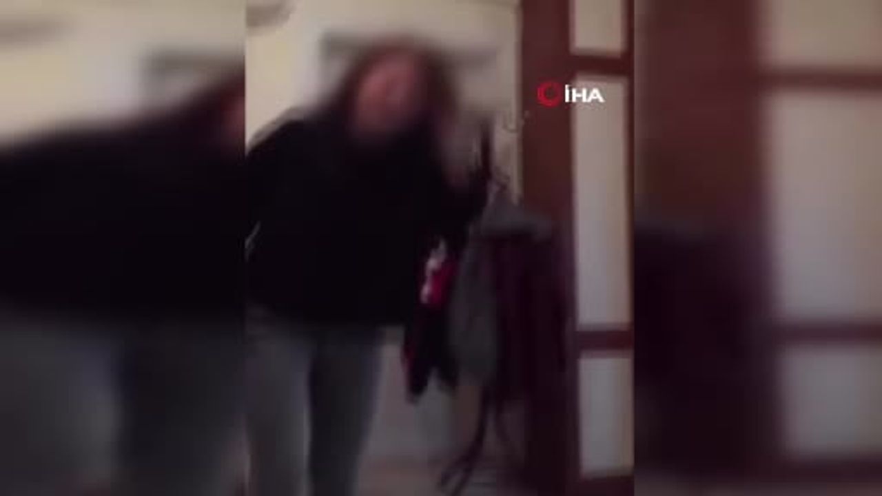 Sosyal medyada yeniden gündem olan kaplumbağa görüntüleri sonrası şüpheli gözaltında