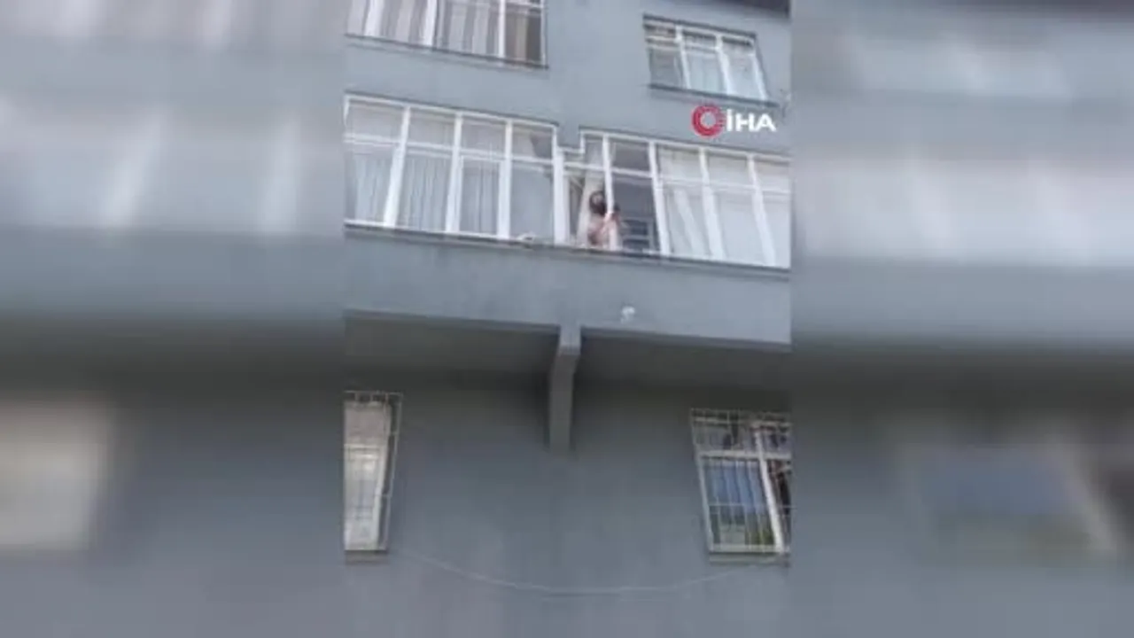 Sultangazi'de mamalar ve yavru kediler yüzünden komşular arasında gerilim
