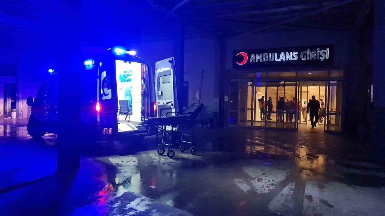 Sultanhisar'da karayolundan tarlaya savrulan minibüsün sürücüsü öldü, iki genç yaralandı