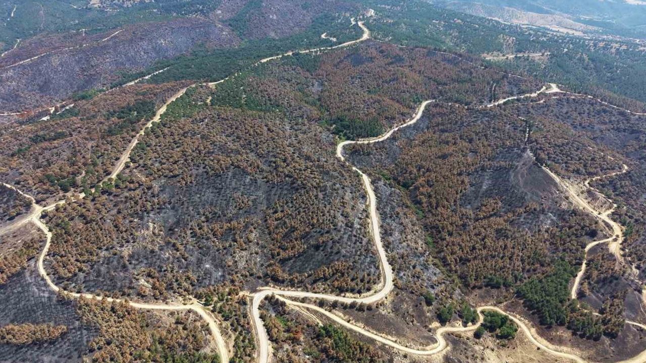 Susurluk'taki yangın sahası temizleniyor, yeniden ormana kavuşacak