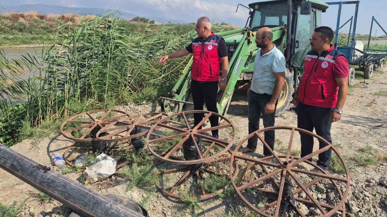 Tarımın ritmini tarlada tutanlar: Antakya'da mısır hasadı ve saha çalışmaları