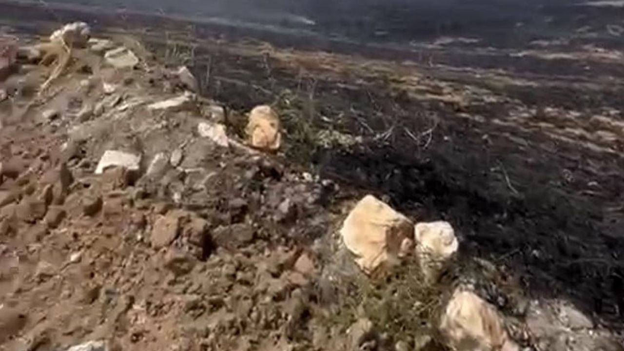 Tarlada başlayan yangın, hızlı müdahale ile yerleşime ulaşmadan söndürüldü