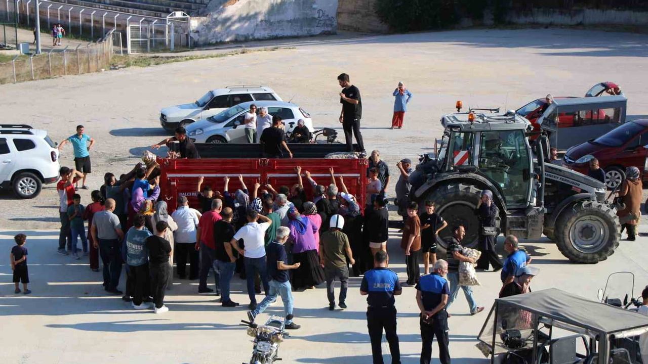Tarlasından sevgiyle paylaştı: genç çiftçi 6 ton patatesi halka sundu