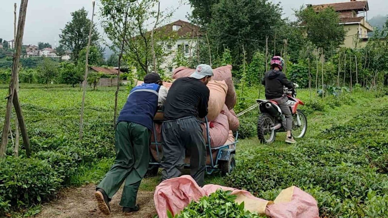 Taşıma imkânsız sanılırken rizeli kuzenlerin motosikletli çay çözümü