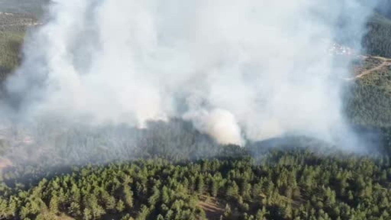 Taşköprü'de orman yangını hava ve kara müdahalesiyle kontrol altına alındı