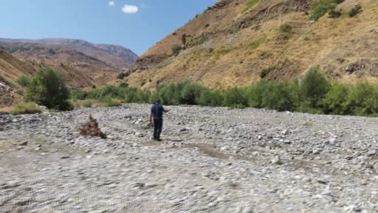 Taşların izini süren çobanın 40 yıllık 400 parçalık koleksiyonu