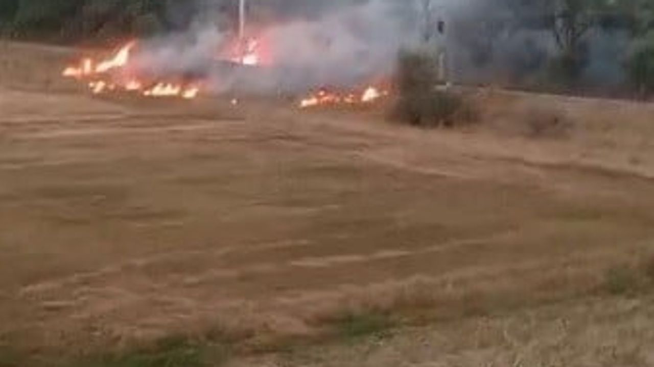 Tavşanlı'da demiryolu kenarı arazı yangını hızlı müdahaleyle söndürüldü